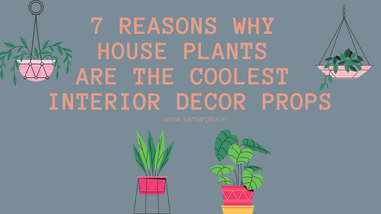 7 Reasons Why House Plants Are The Coolest Interior Decor Props